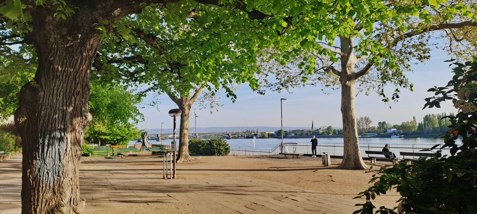 WhatsApp Image 2026-04-23 at 07.47.11