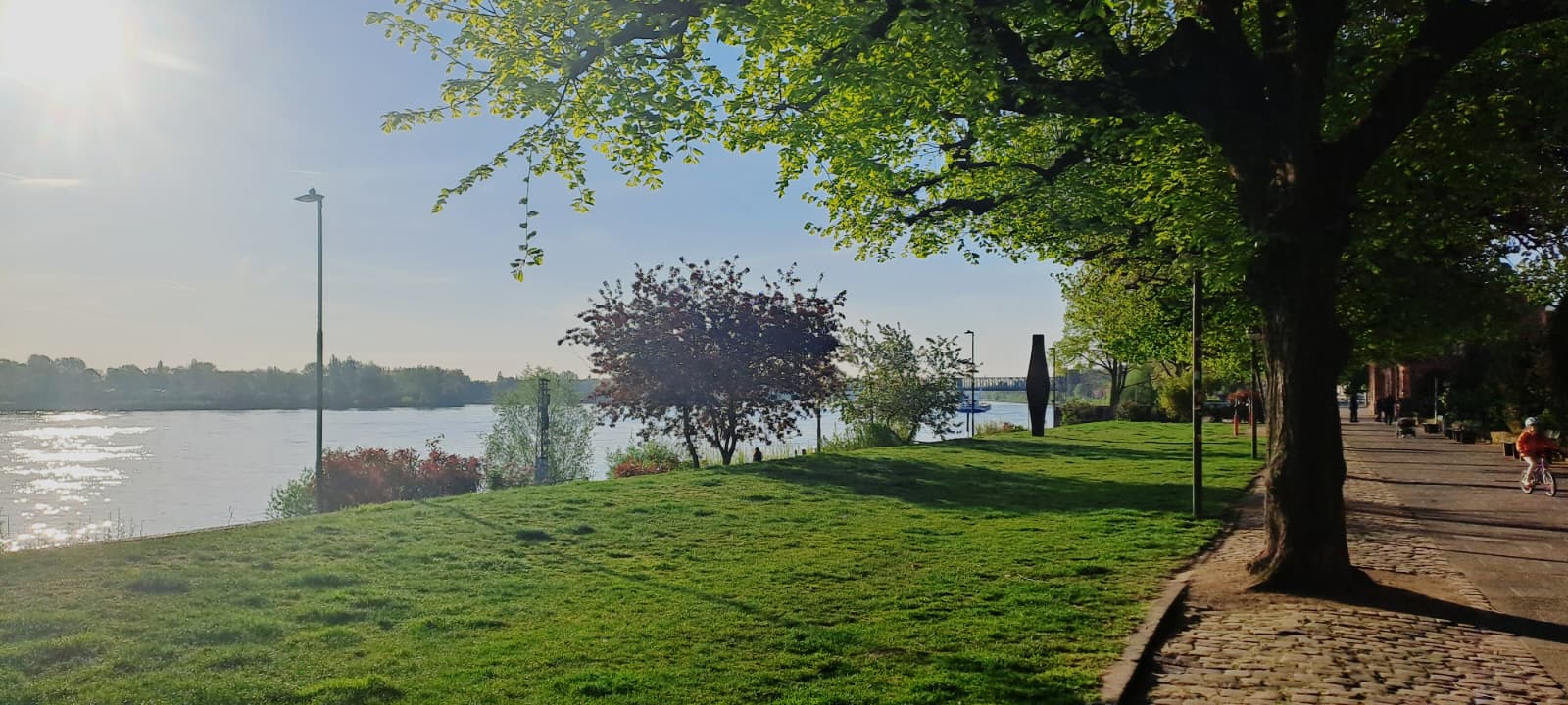 WhatsApp Image 2026-04-23 at 07.47.12